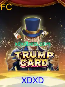 Explorando o Empolgante Mundo de TrumpCard